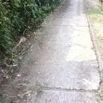 Bán nhà gỗ 107m2 Phú An Hoà Bến Tre - Ảnh thu nhỏ 3