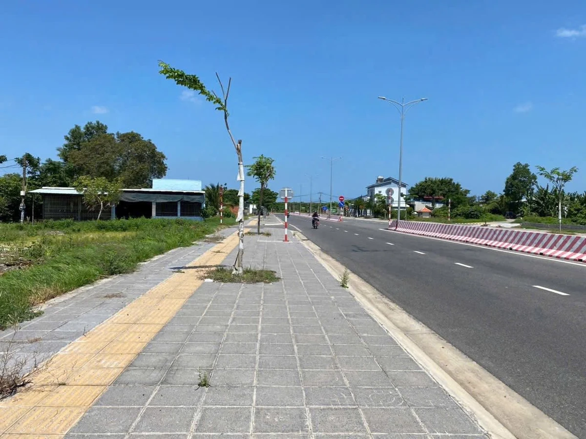 Bán đất Phước Hải 500m² mặt tiền Tỉnh lộ 44B, 3 tỷ 450 triệu - Ảnh 1