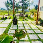 Bán nhà vườn 1.800m² gần Phan Thiết 2,2 tỷ - Ảnh thu nhỏ 3