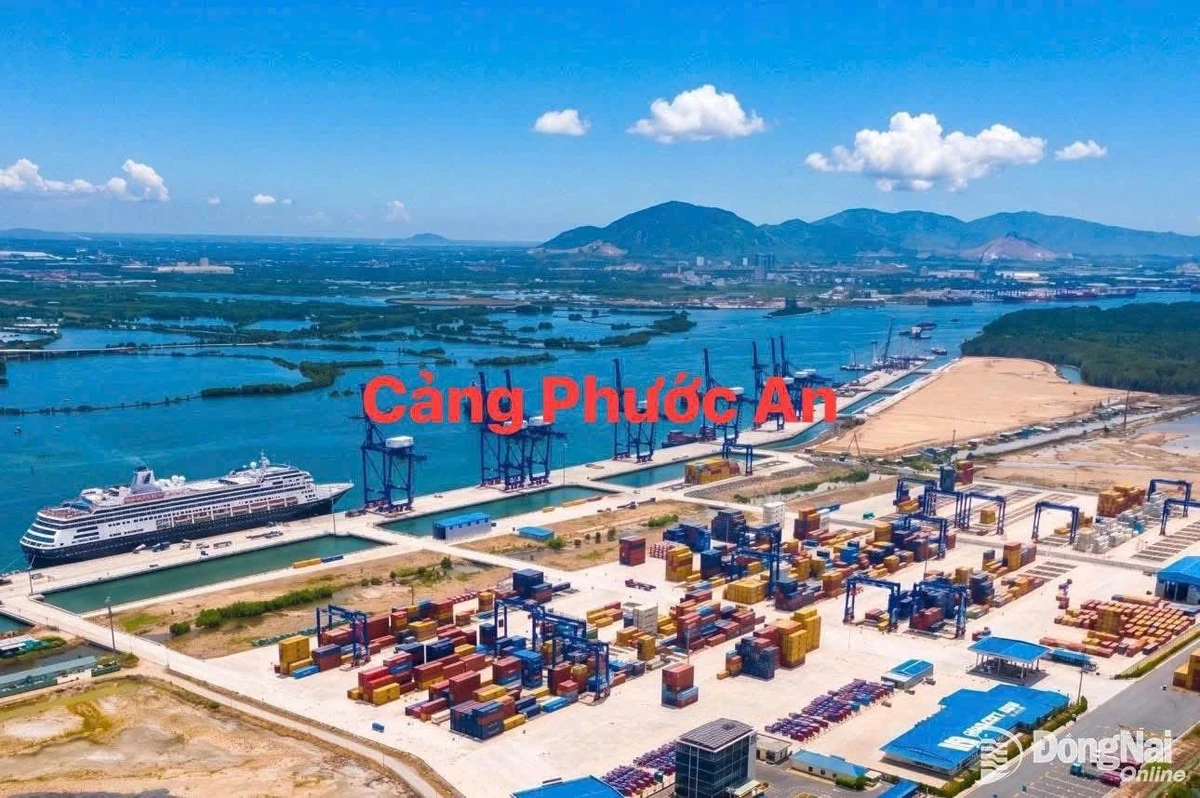 Bán đất 500m² thổ cư Nhơn Trạch Đồng Nai, 20tr/m² - Ảnh thu nhỏ 5