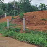 Bán đất xây nhà vườn 468m2 view cánh đồng Xã Hòa Phú - Ảnh thu nhỏ 2