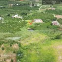 Bán đất 1.670m2 đất vườn có 200m2 thổ cư tại Tân Hà, Lâm Hà, Lâm Đồng, giá chỉ 870tr - Ảnh thu nhỏ 14