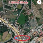 Bán đất nền 1000m2 Thuận Mỹ, Long An - Ảnh thu nhỏ 3