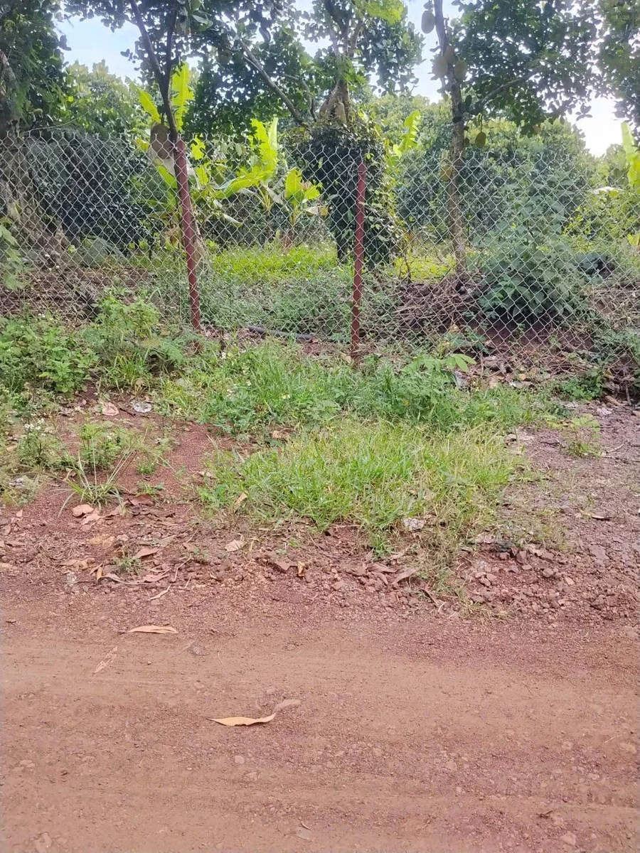Bán đất 400m² Bảo Vinh Long Khánh giá 690 triệu - Ảnh thu nhỏ 2