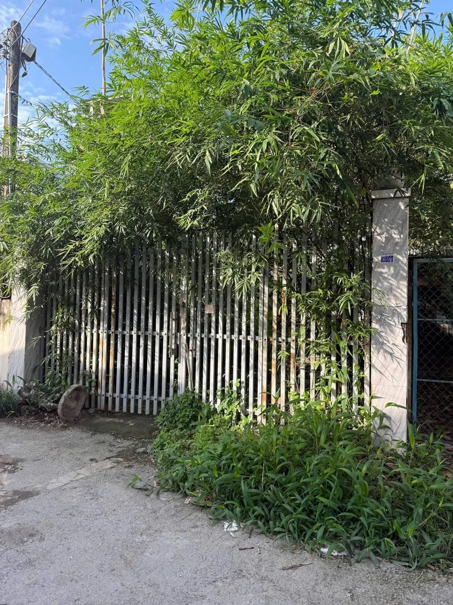 Bán đất 178m² gần chợ Đồn, Nhà Bè, 3 tỷ 200 triệu - Ảnh thu nhỏ 2