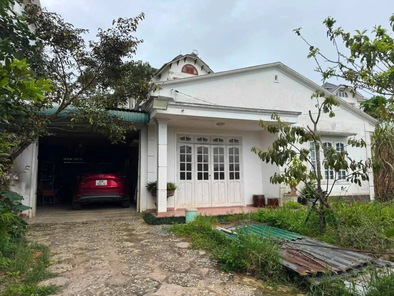Bán đất khu biệt thự An Sơn Đà Lạt 465m² mặt tiền 15m