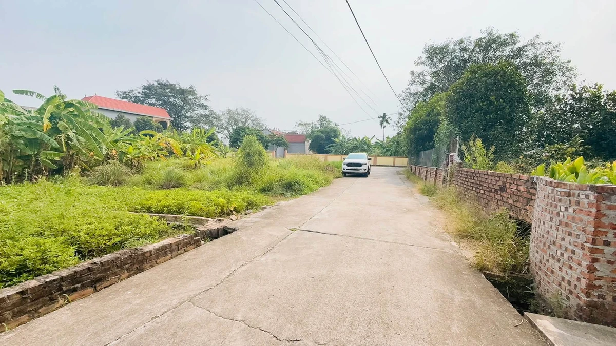 Bán đất 85,5m² Vĩnh Trại Lương Tài Bắc Ninh 1 tỷ 5 - Ảnh thu nhỏ 3