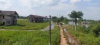 Nền ven sông và lộ nhựa khu công nghiệp Bình Minh (ngay cầu Cần Thơ) giá 1 tỷ 350 - Ảnh thu nhỏ 4