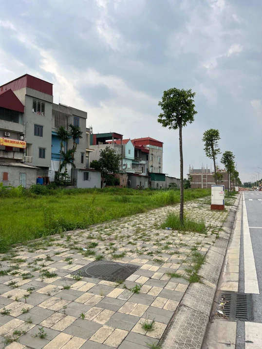 Bán nhanh lô đất chính chủ sẵn sổ mặt QL31 giá thương lượng cho khách thiện chí cần kết hợp sale - Ảnh thu nhỏ 4