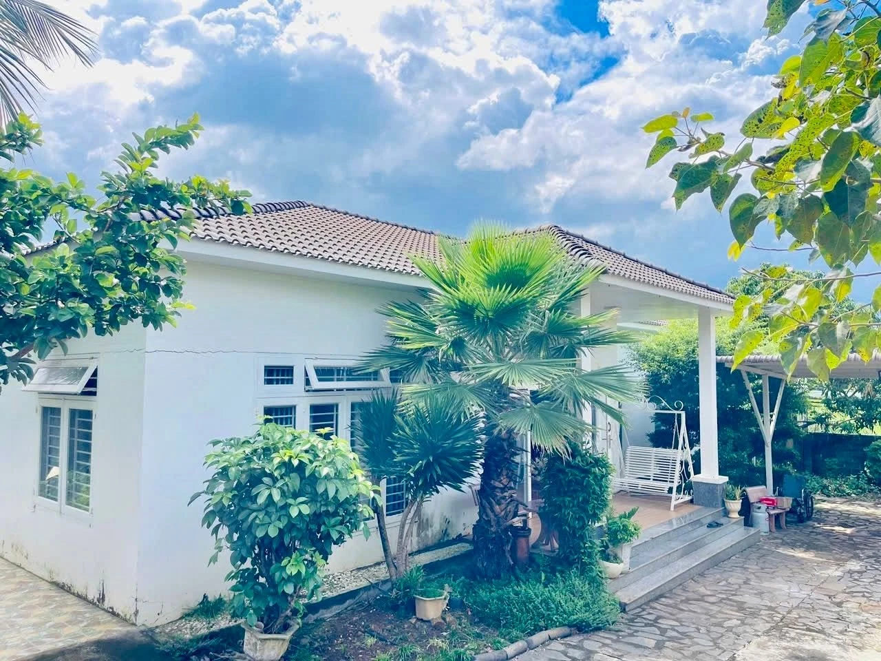 Nhà vườn mái Nhật 1.015m² Tạ Quang Bửu, Buôn Ma Thuột - 5,6 tỷ - Ảnh 1