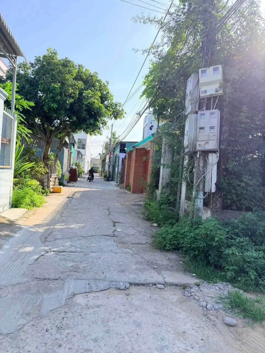 Bán đất hẻm 125m² Nguyễn Minh Đường, Tân An, Long An - Ảnh thu nhỏ 3