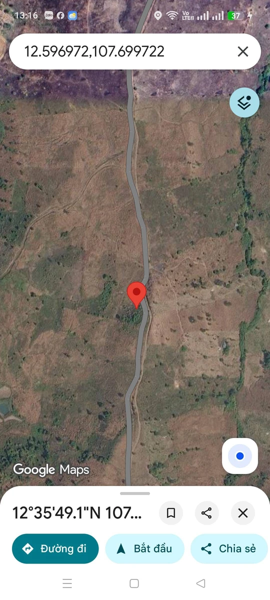 Bán lô đất 19.560 m² xã Đăk R'la Đắk Nông 750 triệu - Ảnh thu nhỏ 3