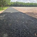 Đất mặt tiền Giồng Cà, Bình Minh, Tây Ninh (20x50m hoặc 10x50m) - Ảnh thu nhỏ 1
