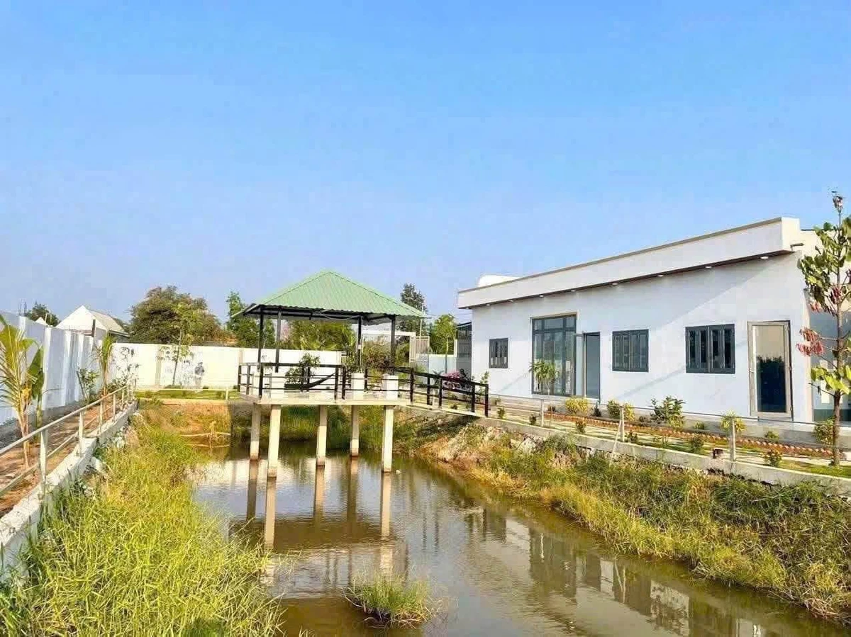 Nhà vườn 900m² Phước Vân, Cần Đước, Long An - 3 tỷ 7 - Ảnh thu nhỏ 5
