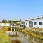 Nhà vườn 900m² Phước Vân, Cần Đước, Long An - 3 tỷ 7 - Ảnh thu nhỏ 5