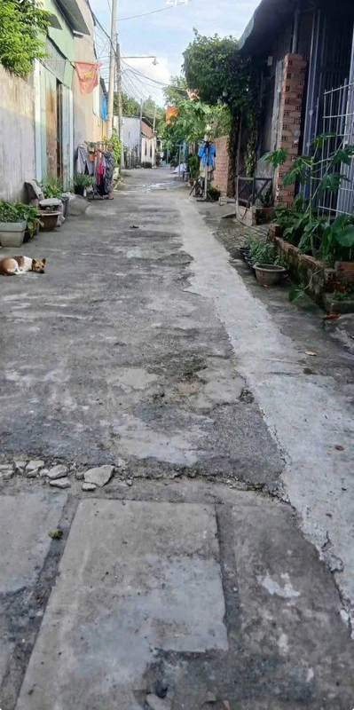 Bán nhà 1PN, sân rộng tại Vĩnh Cửu, 102 m²