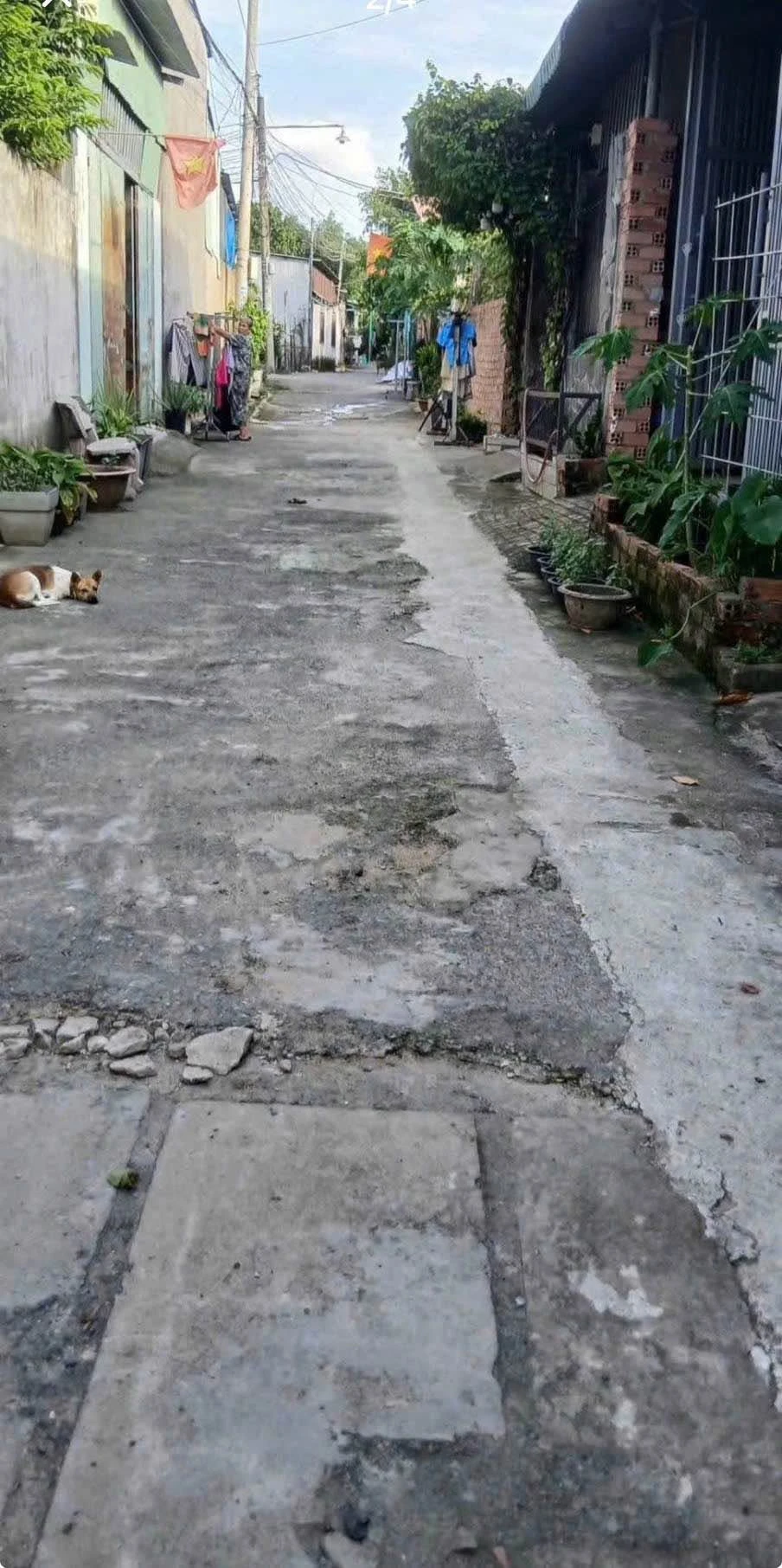 Bán nhà 1PN, sân rộng tại Vĩnh Cửu, 102 m² - Ảnh 1