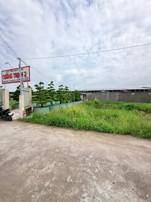 Bán cặp nền 163m² mặt tiền 6m Cần Thơ 2 tỷ 500