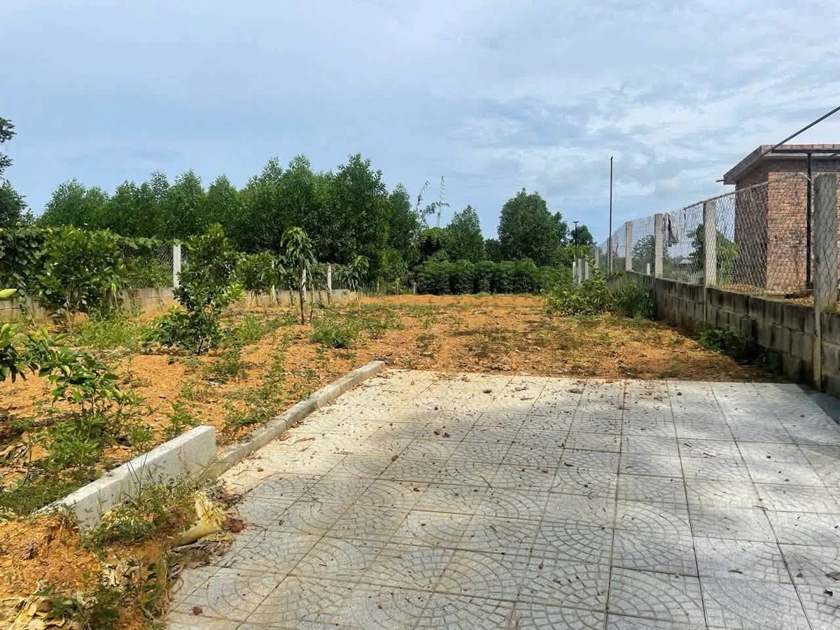 Bán đất 300m2 (150m2 thổ cư) thôn Đông Lâm, xã Hòa Phú, Củ Chi giá 1,55 tỷ - Ảnh thu nhỏ 4