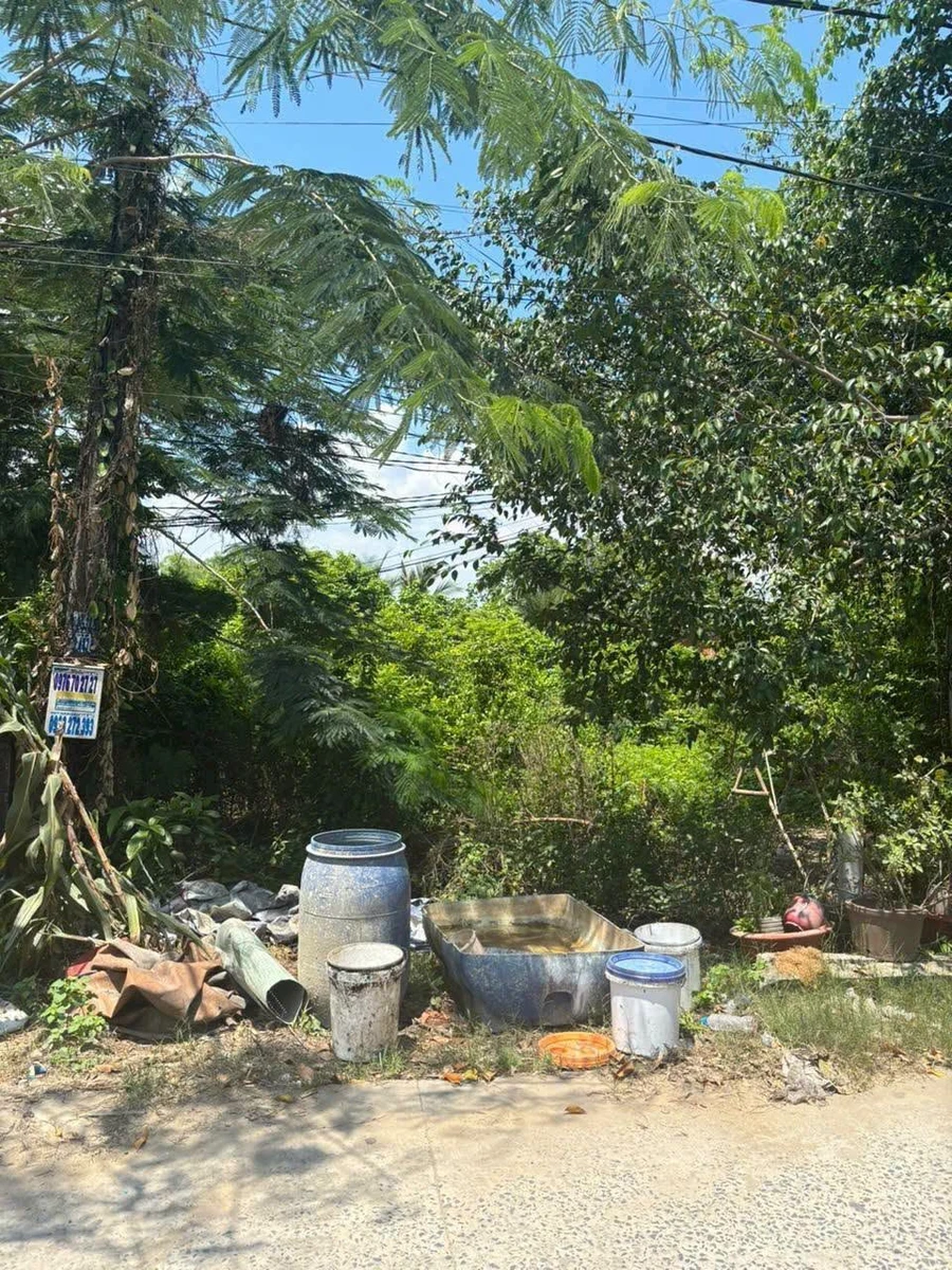 Bán lô thổ cư 136m² Đức Hòa Thượng, Long An 810 triệu - Ảnh thu nhỏ 4