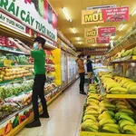 Bán shophouse mặt tiền 306m2 đường 768 KCN Thạnh Phú 16.5 tỷ - Ảnh thu nhỏ 1