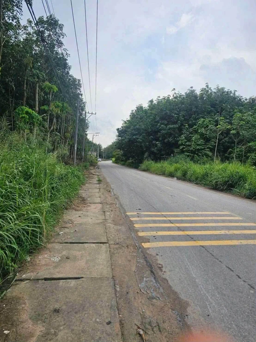 Bán đất Tân Hiệp, Bình Dương 125 m2 đường 9m - Ảnh thu nhỏ 2