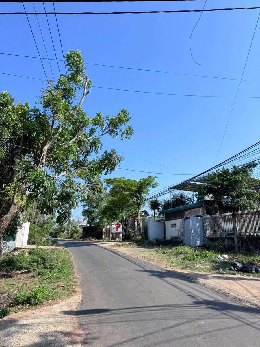 Bán đất mặt tiền Nguyễn Trường Tộ, Ea Tam, 50m2 - Ảnh thu nhỏ 3