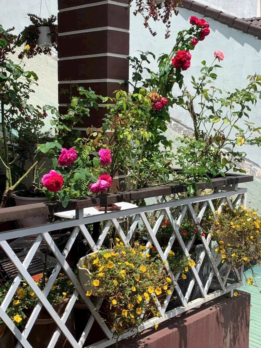 Bán nhà 3PN 91m² Nguyễn Trung Trực Đà Lạt - Ảnh thu nhỏ 3