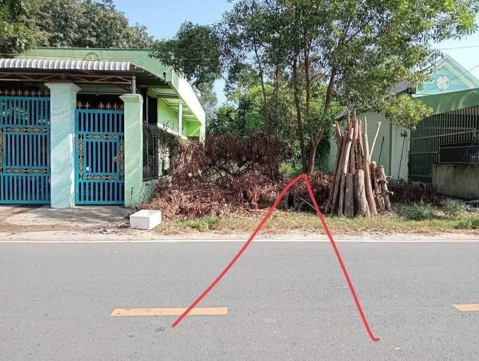 Bán lô đất 1000m², ngang 10m, Phú An, Bình Dương, 3 tỷ 4 - Ảnh 1