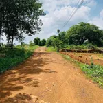 Bán đất 200m² tại Đồng Phú, Bình Phước, 120 triệu - Ảnh thu nhỏ 3