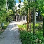 Bán 375 m² đất thổ cư Phong Điền, Cần Thơ - Ảnh thu nhỏ 3