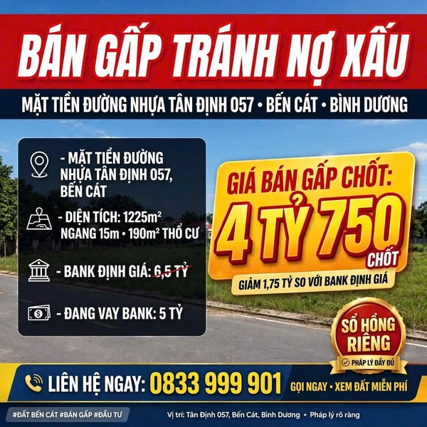 Bán đất mặt tiền đường nhựa Tân Định 057, Bến Cát, 1225m2, giá 4,75 tỷ