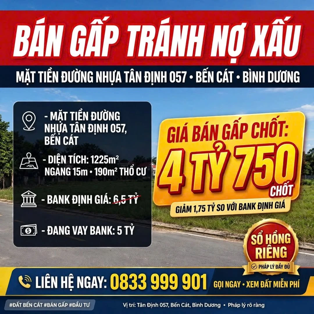 Bán đất mặt tiền đường nhựa Tân Định 057, Bến Cát, 1225m2, giá 4,75 tỷ - Ảnh 1
