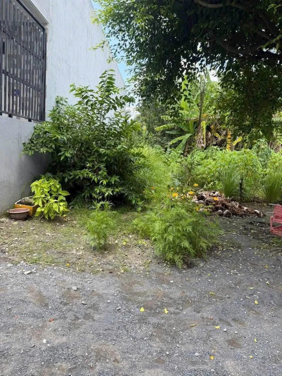 Bán đất thổ cư 100m² Bến Lưc Long An 1 tỷ 200 triệu - Ảnh 1
