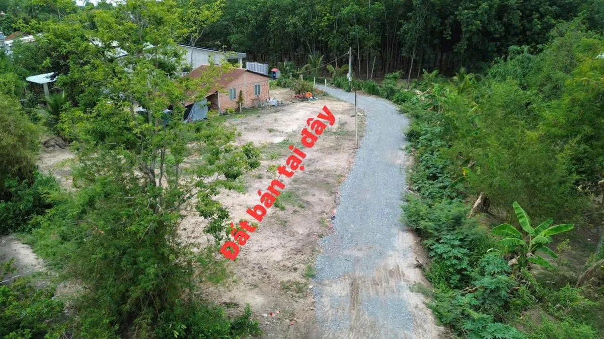 Bán đất nền 145m² tại Phan Dương, giá 250 triệu - Ảnh thu nhỏ 2
