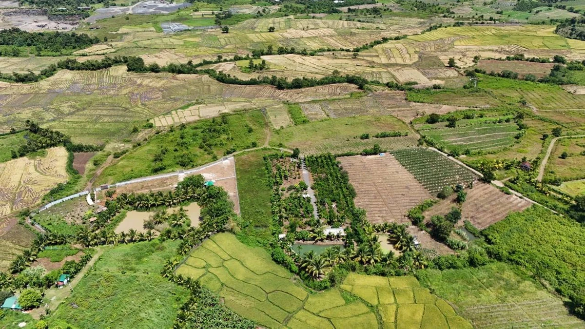 Bán đất 2,5 sào view Bà Rịa - Vũng Tàu 1 tỷ 90 triệu - Ảnh thu nhỏ 2