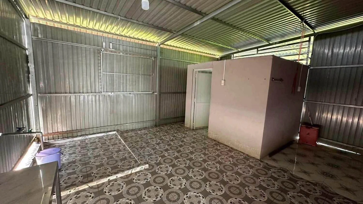 Bán 240m² đất mặt tiền Thủ Thừa Long An, 1 tỷ 500 triệu - Ảnh thu nhỏ 4