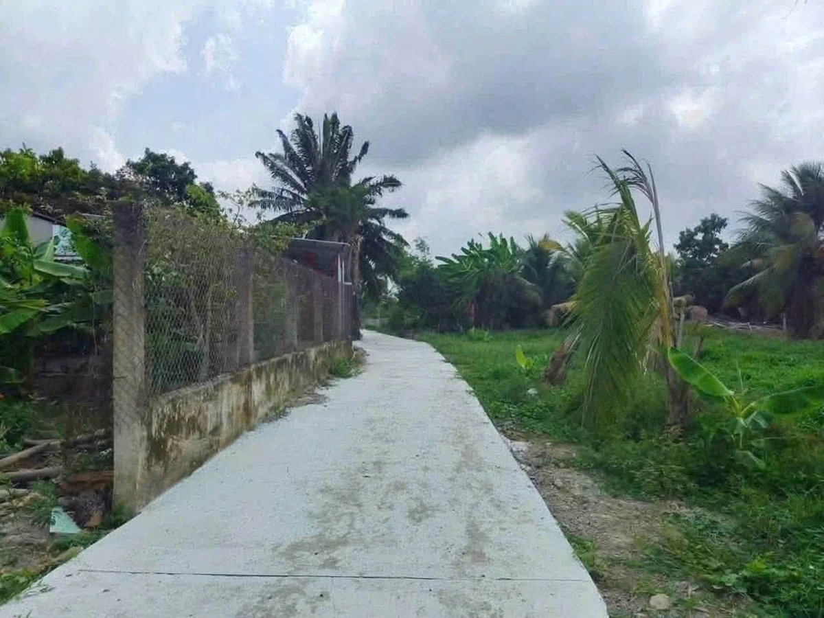 Bán đất nền 1300m² tại xã Tầm Vũ, Tây Ninh, 1 tỷ 290 triệu - Ảnh thu nhỏ 4