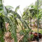 Bán nhà cấp 4 mặt tiền Quốc Lộ 1a 800m2 Long Mỹ - Ảnh thu nhỏ 4