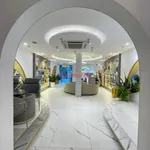 Bán nhà mặt tiền 102m2, 4 tầng Phạm Viết Chánh, Quận 1 - Ảnh thu nhỏ 5