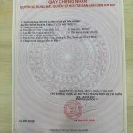 Bán nhà mặt phố 300m2, 10 tỷ, D21, An Phú, TP. Thuận An, giá cực chất - Ảnh thu nhỏ 16