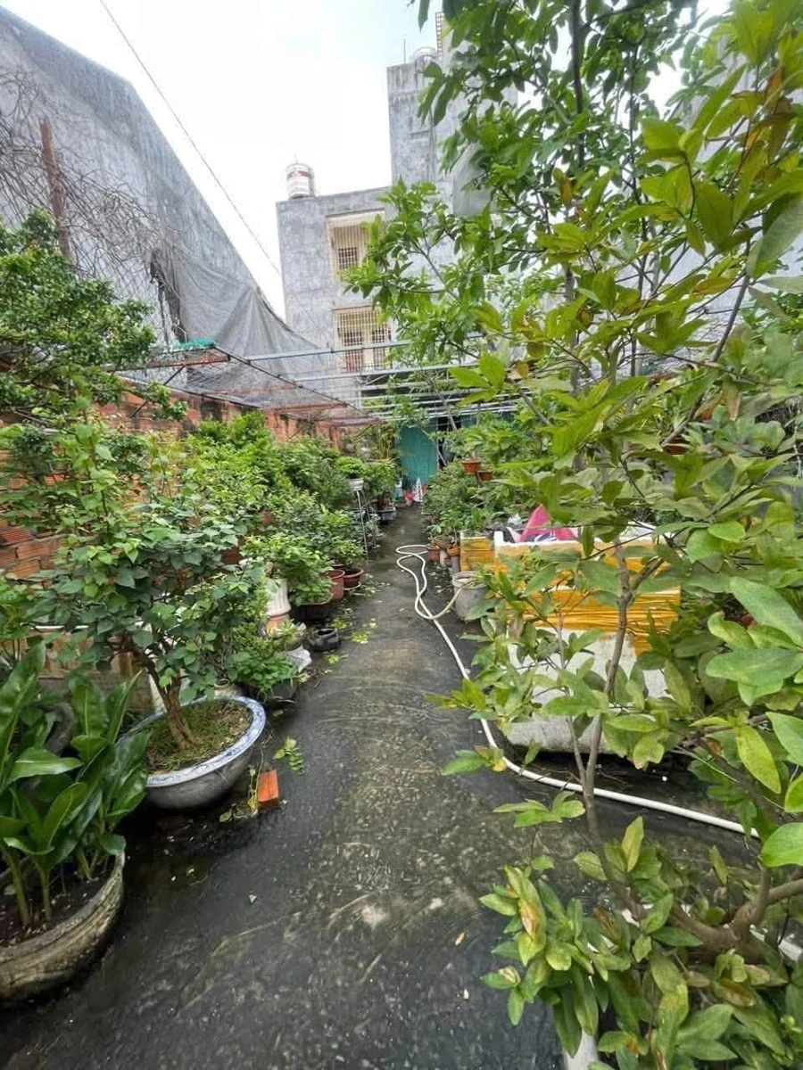 Bán lô đất mặt tiền Đỗ Hành 100m² ở Phú Thủy - Ảnh thu nhỏ 3