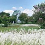 Bán biệt thự 215m2, Tam Đa Q9, 8,5 tỷ - Ảnh thu nhỏ 2