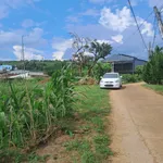 Bán đất 483m² Nam Ban, Lâm Đồng, 1,2 tỷ - Ảnh thu nhỏ 3