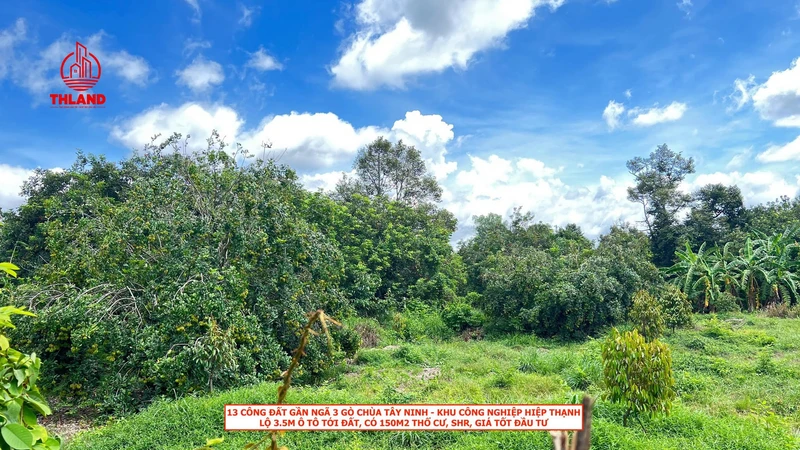 Bán đất vườn 13.372m² Hiệp Thạnh Tây Ninh 25 tỷ