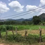 Bán lô đất 7200m² ngang 62m tại Bình Định - Ảnh thu nhỏ 1