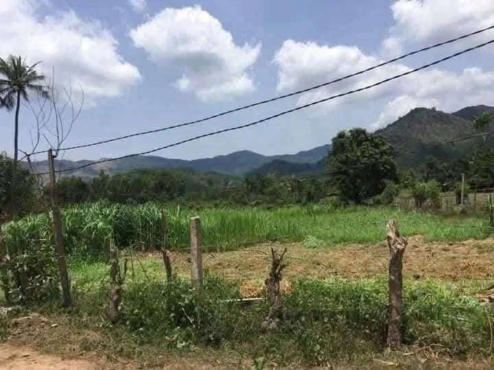 Bán lô đất 7200m² ngang 62m tại Bình Định - Ảnh 1