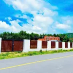 Bán đất mặt tiền Xã Phước Hải, 347.7m2, gần biển - Ảnh thu nhỏ 2