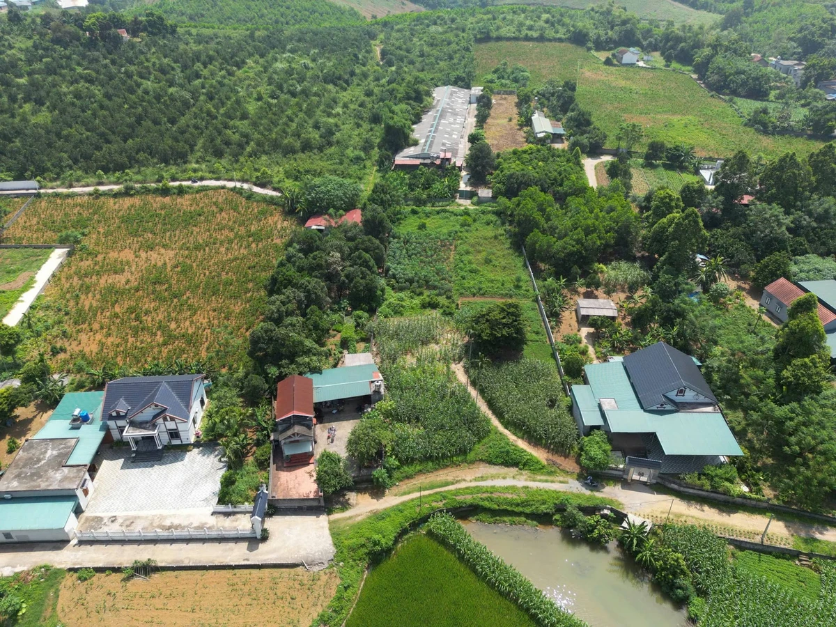 Bán đất nông nghiệp 2000 m² Thanh Oai Hà Nội - Ảnh thu nhỏ 4