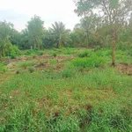 Bán đất nền 500m² ở Xã Lộc Thuận, Bến Tre giá 130 triệu - Ảnh thu nhỏ 2